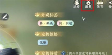 逆水寒手游宠物绝技宠追萌打获得方法介绍